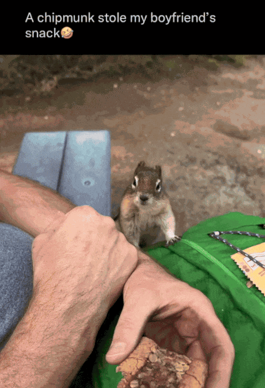 GIF animé
