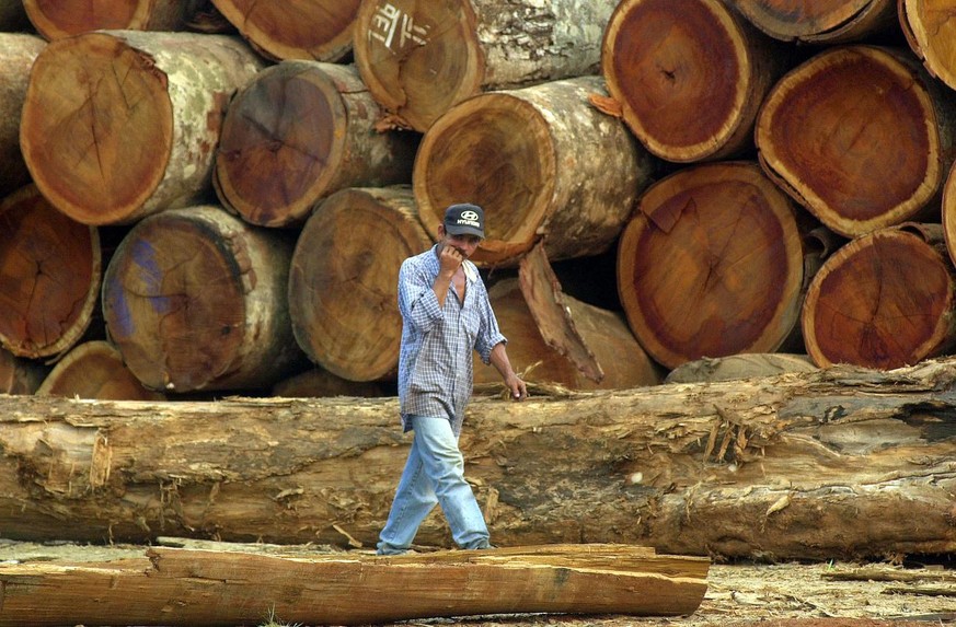 **ONE OF SIX PHOTOS BY DADO GALDIERI** A worker walks past dozens of mahogany logs recently seized by Brazilian Environmental Institute (IBAMA) at the Serra Dourada logging company in the town of Sao  ...