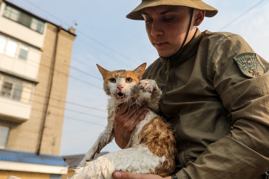 epa10678372 A volunteers helps a cat at a flooded area of Kherson, Ukraine, 07 June 2023. Ukraine has accused Russian forces of destroying a critical dam and hydroelectric power plant on the Dnipro Ri ...