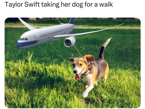 Taylor Swift Meme