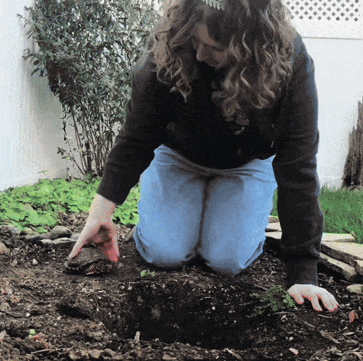 GIF animé