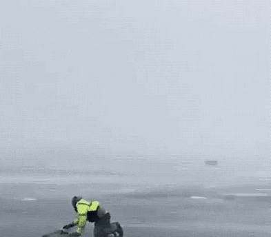 GIF animé