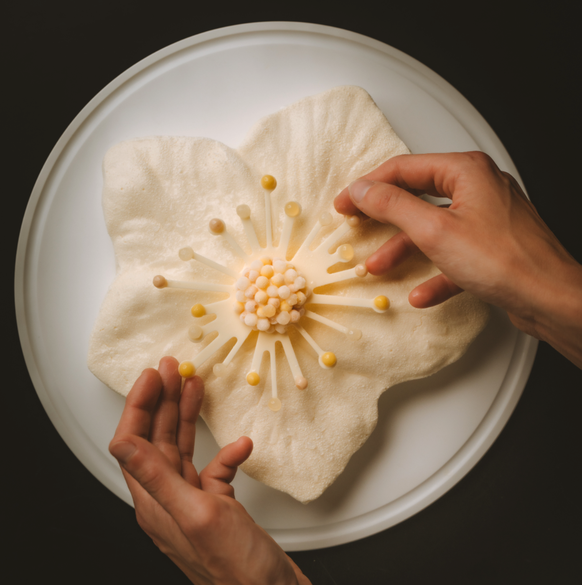 la bûche « Hellébore » de la cheffe Claire Santos Lopez