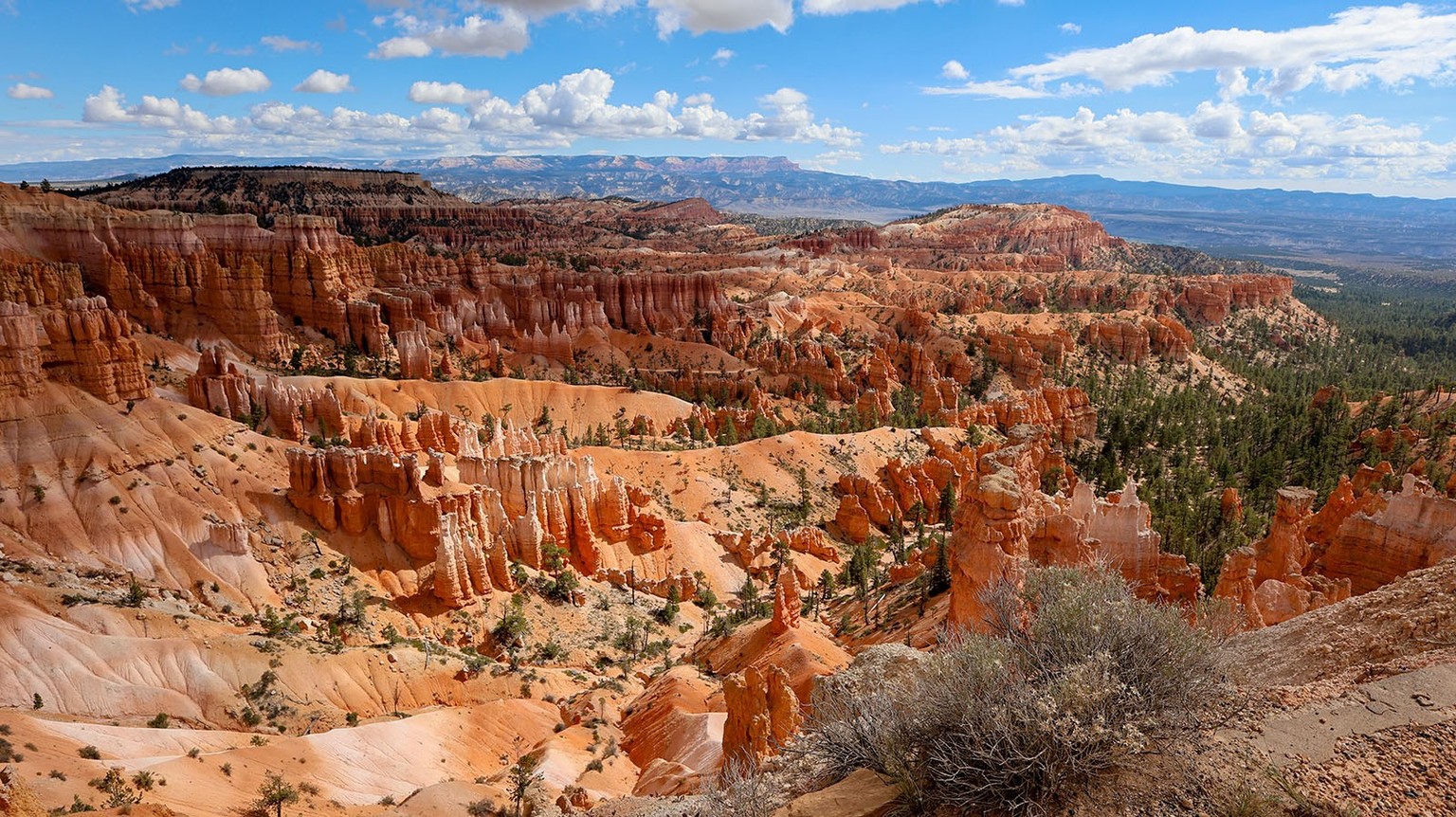 Shawn Vales USA: Bilder nur in Absprache mit Toggi verwenden.