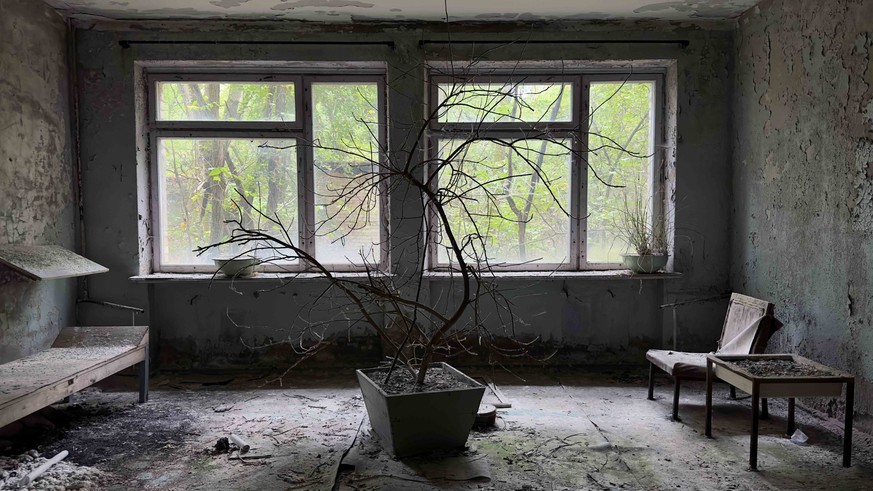 Nous n'avons aucune explication quant à cette décoration.