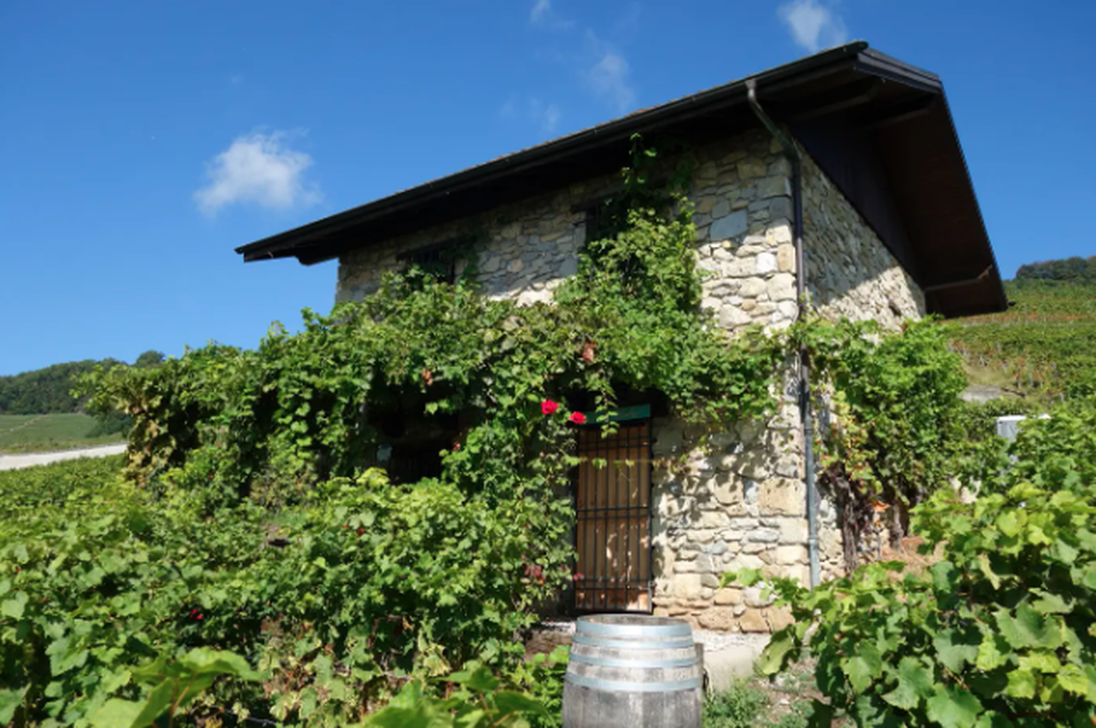 Bar à vins dans le Lavaux