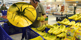 Risque d'érection violente et de mort: un supermarché est évacué