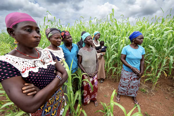 Un groupe de femmes lors de la visite d’une parcelle de sorgho à Arbollé. Le sorgho revêt une importance capitale pour la sécurité alimentaire des populations du centre Burkina Faso.