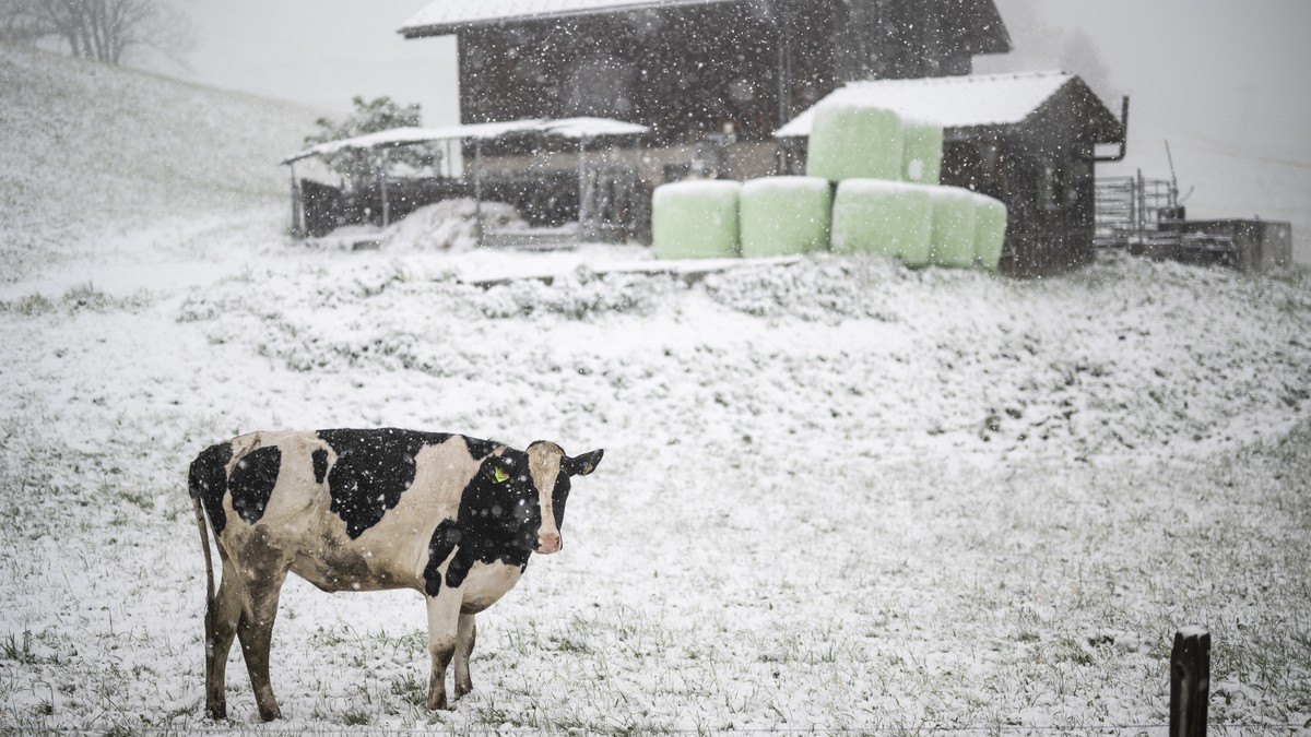 Kaltfront und Extremregen: Wetterumschwung in der Schweiz und Italien