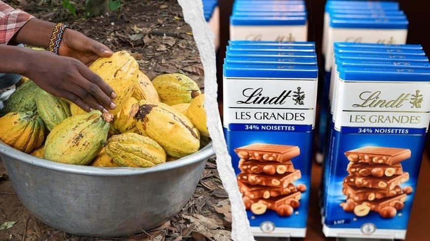 Vous trouvez le chocolat cher? C&#039;est normal et ça ne va pas baisser.