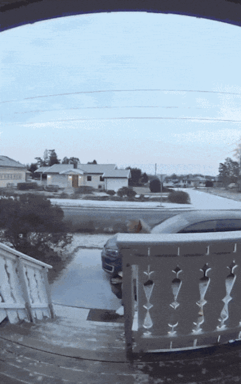GIF animé