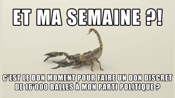 Scorpion, Don, transparence, partis politiques, Suisse