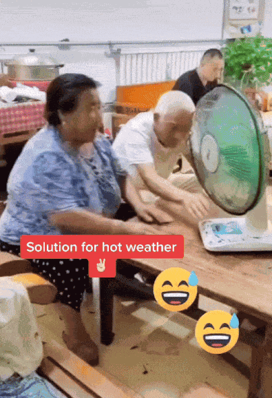 GIF animé