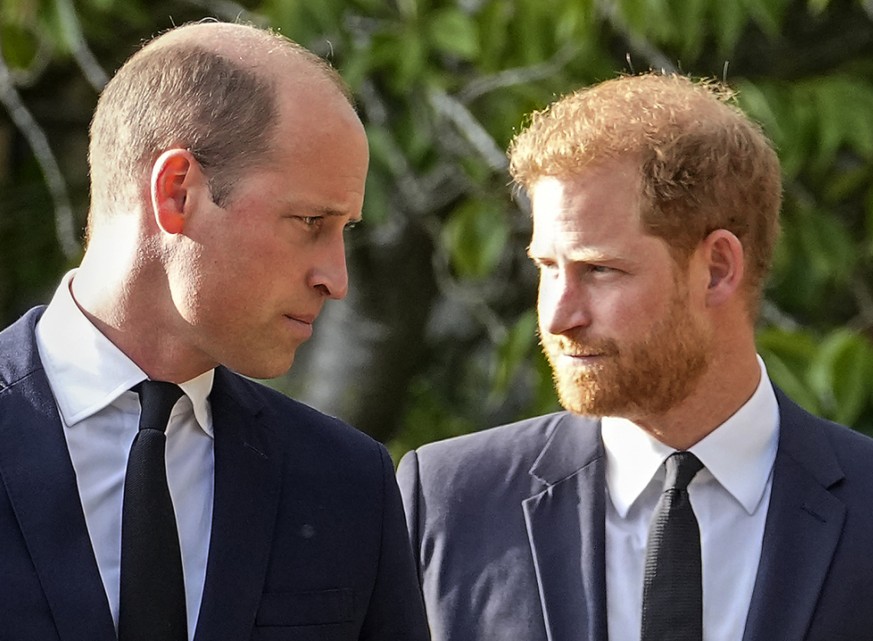 Le prince Harry accuse William de l'avoir «attaqué physiquement»