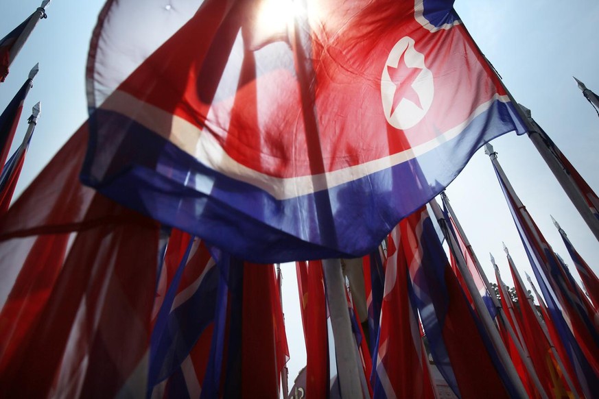 Parade participants carry the North Korean national flag, Saturday, July 27, 2013 during the mass military parade celebrating the 60th anniversary of the Korean War armistice in Pyongyang, North Korea ...