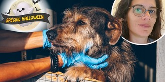 Cette Romande parle avec les animaux morts: «C'est comme un frisson»