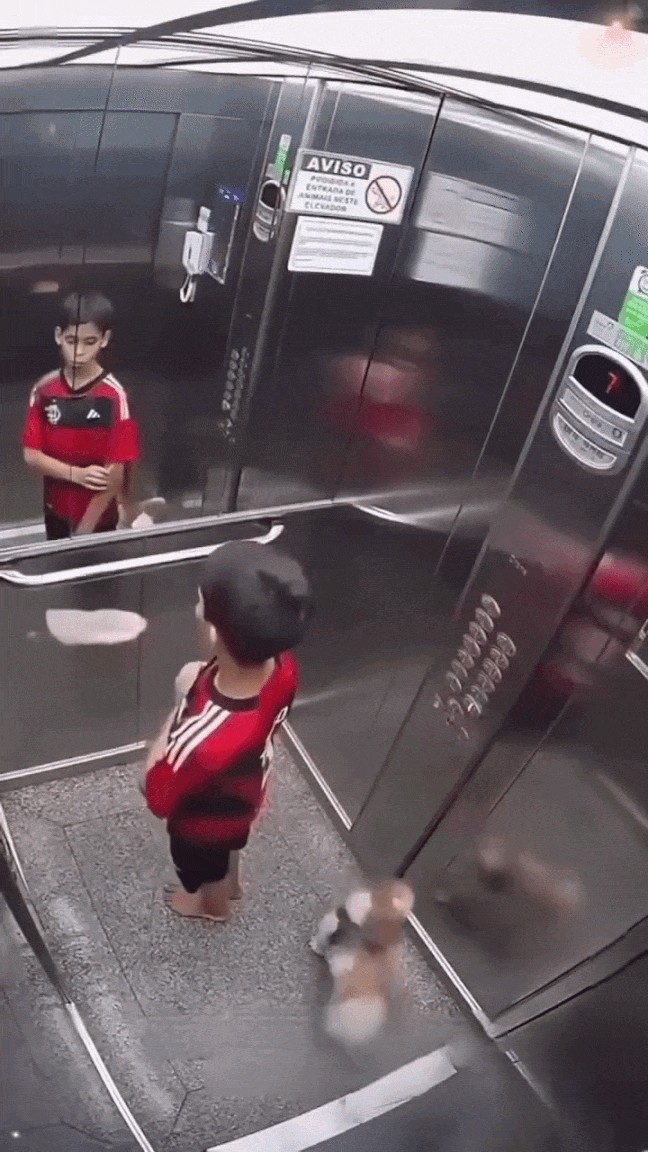 GIF animé