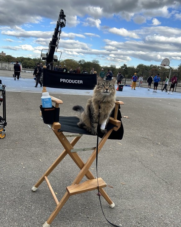 Tonic le chat, acteur mais aussi producteur.