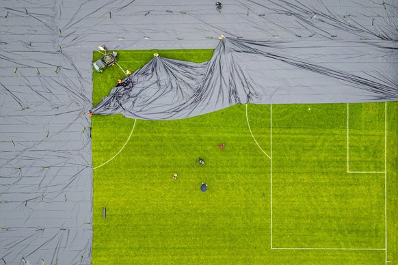Le scarabée japonais peut endommager les terrains de foot.