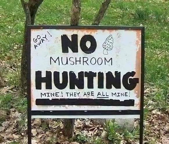 Traduction: Pas de chasse aux champignons. Ils sont à moi! A moi! Allez-vous-en!