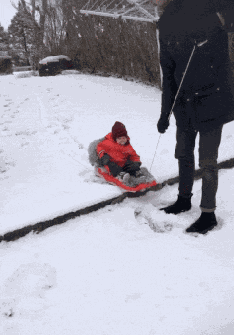 GIF animé