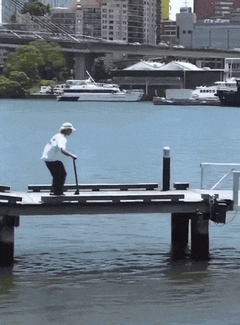 GIF animé