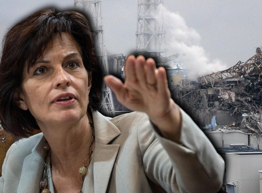 «La catastrophe de Fukushima nous a permis de progresser»