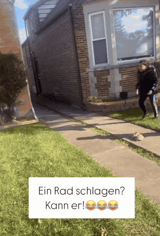 GIF animé