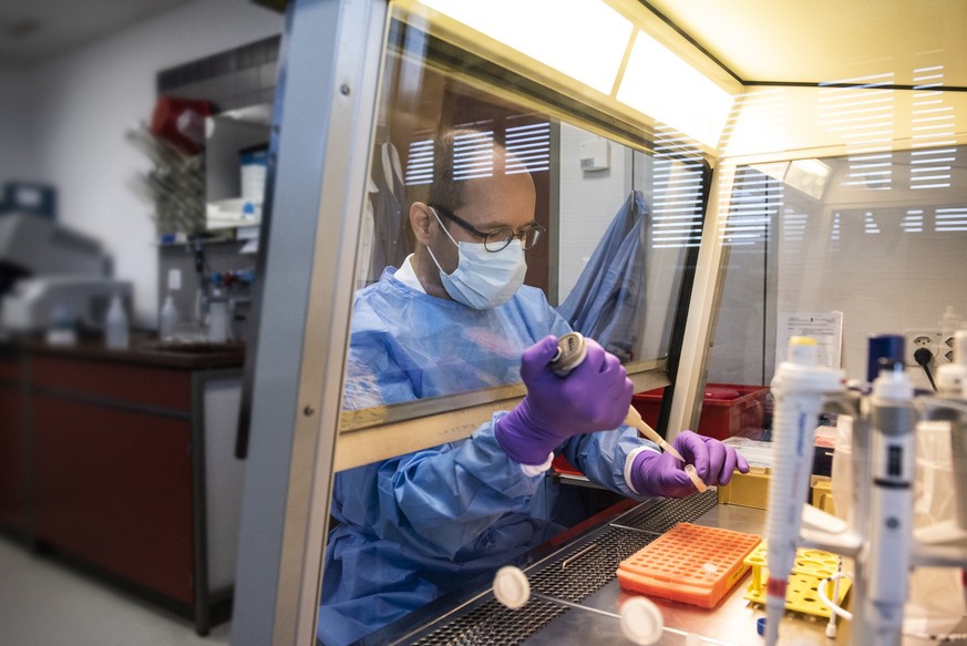 Diagnostik; Corona; Coronavirus; Labor; Test; Abstrichproben von COVID-19 Verdachtsfällen werden in der Sicherheitswerkbank geöffnet; Sicherheitswerkbank