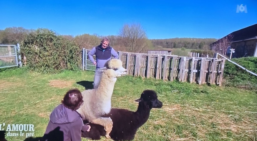 Oui, j'ai pris des captures d'écran, ne me remerciez pas, et ne me jugez pas.