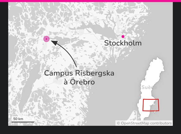Campus Risbergska à Örebro.