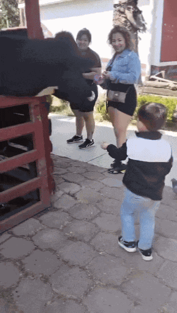 GIF animé