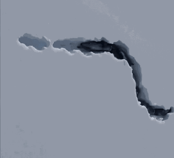 GIF animé