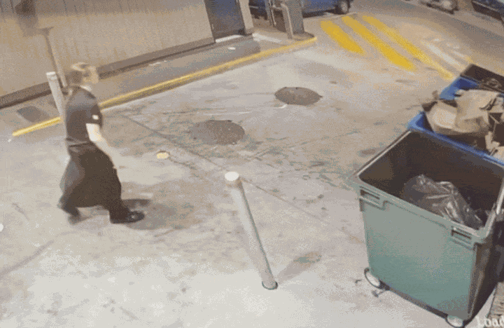 GIF animé