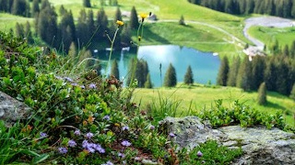 Chablais-Lac Retaud - Copyright Matthias Lehmann