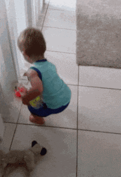 GIF animé