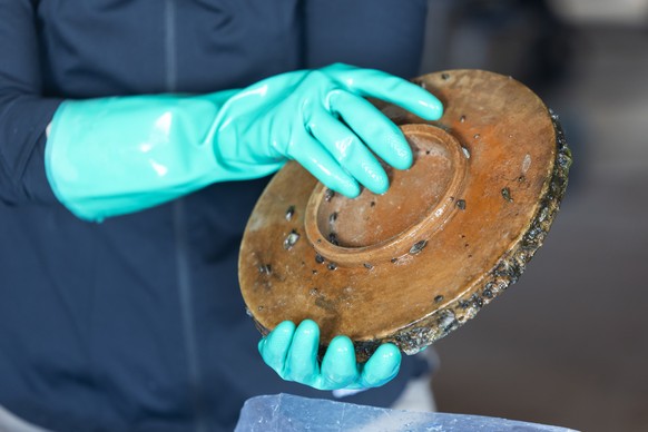 Une personne tient dans ses mains un artefact lors d'une conference de presse suite a une decouverte de vestiges archeologiques d'une cargaison datant de l'epoque romaine reperee au fon ...