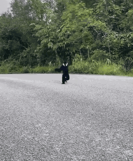 GIF animé