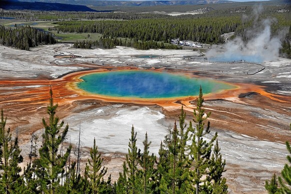 Le Grand Prismatic Spring de Yellowstone.