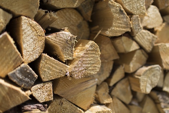 Firewood on a heap, pictured in Scuol, Switzerland, on July 13, 2013. (KEYSTONE/Gaetan Bally)

Brennholz auf einem Stapel, aufgenommen in Scuol am 13. Juli 2013. (KEYSTONE/Gaetan Bally)