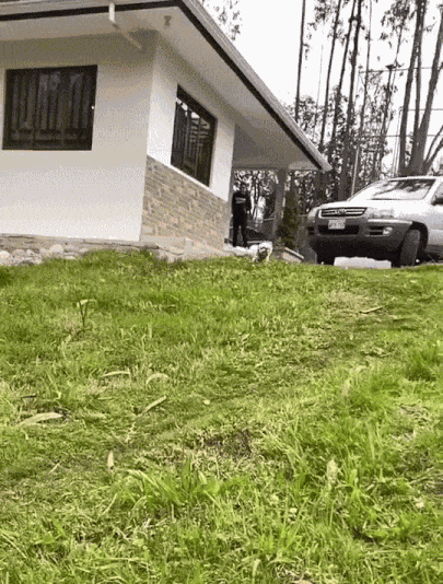GIF animé