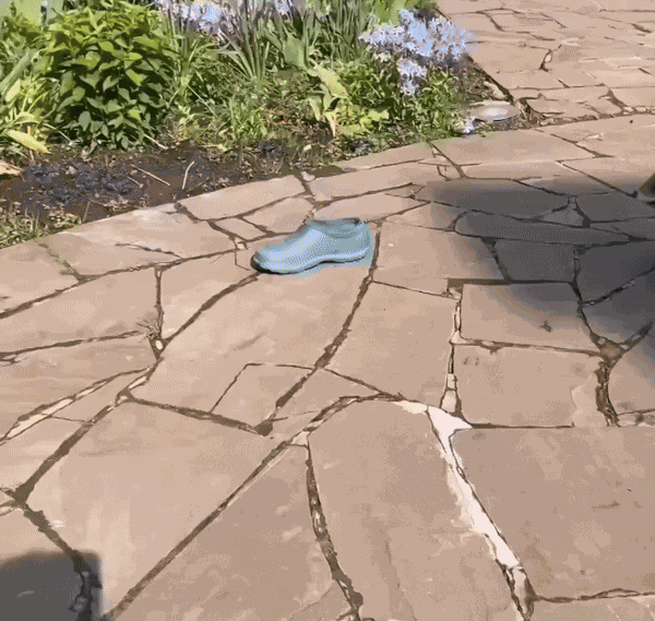 GIF animé