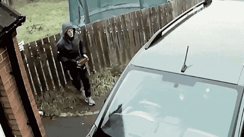 GIF animé