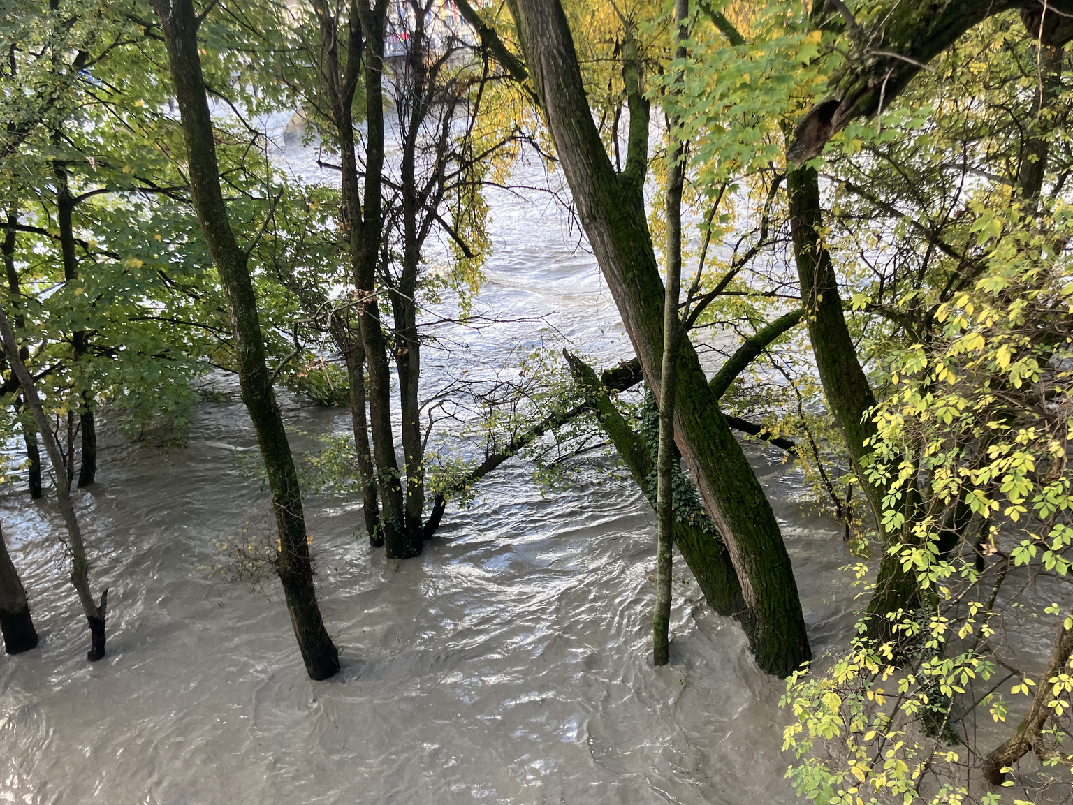 Crue de l&#039;Arve à Genève