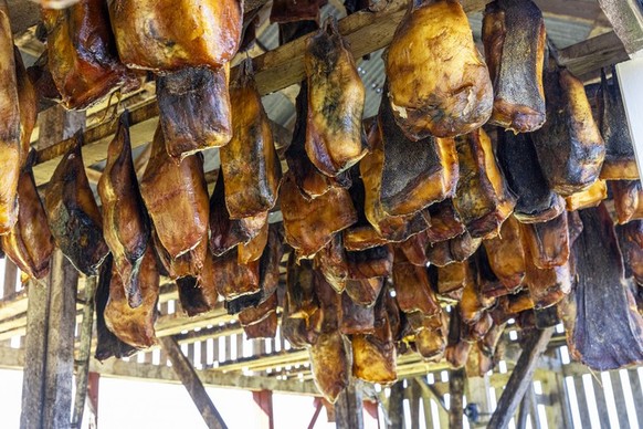hakarl fermented shark pieces fish hanging drying wooden structure