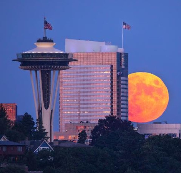 «Buck Moon and the Needle»