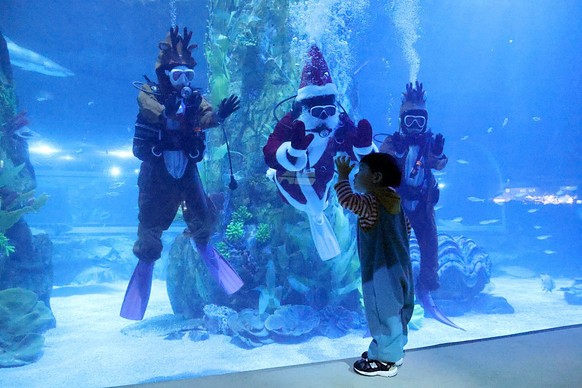 SEOUL, SOUTH KOREA - DECEMBER 16: A child looks on as divers wearing Santa Claus and Rudolph the Red-Nosed Reindeer costumes swim with fish in a tank at Lotte World Aquarium on December 16, 2025 in Se ...