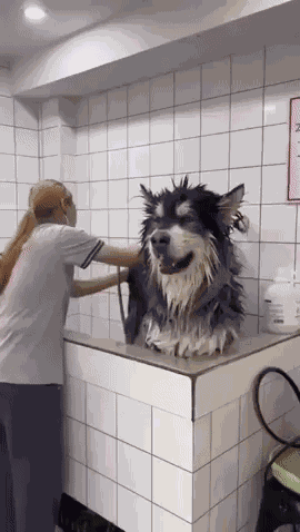 GIF animé