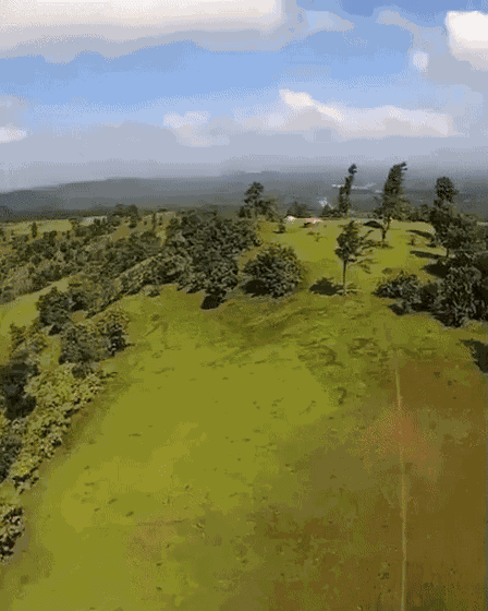 GIF animé