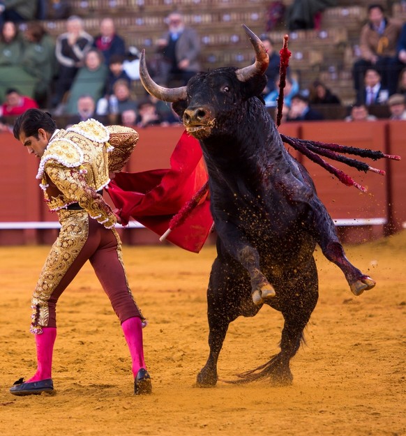 Le torero mexicain Joselito Adame.